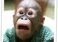 Explosion dans le monde des casinos en ligne - Les casinos Top Game ferment subitement en France