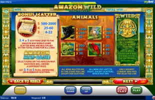 aperçu jeu Amazon Wild 2