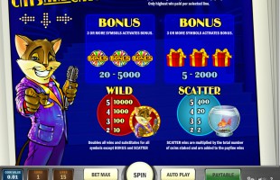 aperçu jeu Cats and Cash 2