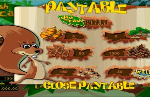 aperçu jeu Dash for Cash 2