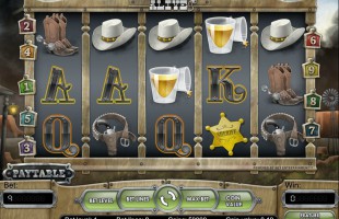 aperçu jeu Dead or Alive 1