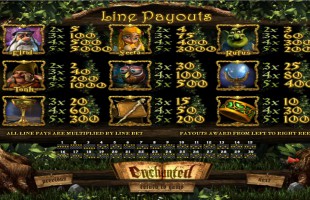 aperçu jeu Enchanted 2