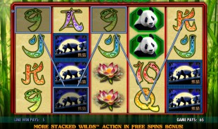 100 Pandas IGT