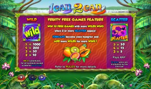 aperçu jeu 1Can 2Can 2