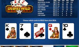 aperçu Deuces Wild MultiHands