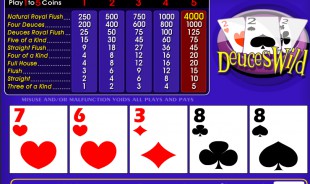 aperçu jeu Deux fous 2