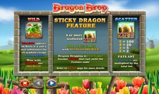 aperçu jeu Dragon Drop 2