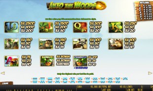 aperçu jeu Into the Woods 2