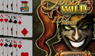 aperçu jeu Joker Wild 2