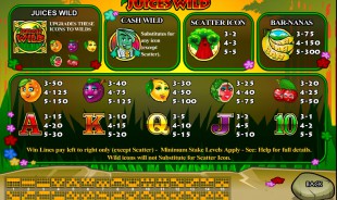aperçu jeu Juices Wild 2