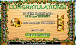 aperçu jeu Mad Mad Monkey 2