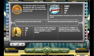 aperçu jeu Mega Fortune 2