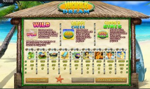 aperçu jeu Summer Dream 2