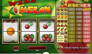 Wild Melon PlayNGo
