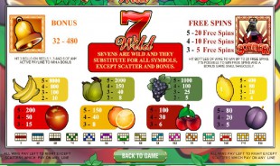 aperçu jeu Wild Sevens 2