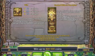 aperçu jeu Wild Turkey 2