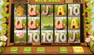 Mad Bugs Cayetano Gaming