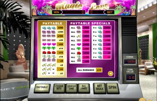 aperçu jeu Magic Love 2