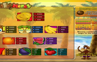 aperçu jeu Monkey Money 2