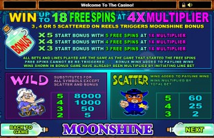 aperçu jeu MoonShine 2