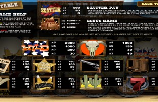 aperçu jeu Reel Outlaws 2