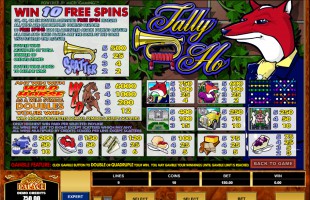 aperçu jeu Tally Ho 2