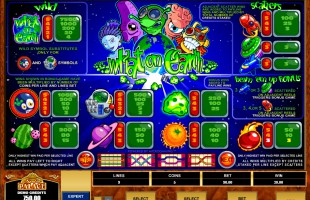 aperçu jeu What on Earth 2