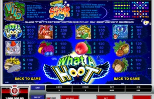 aperçu jeu What A Hoot 2