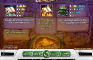 aperçu jeu Wild Witches 2